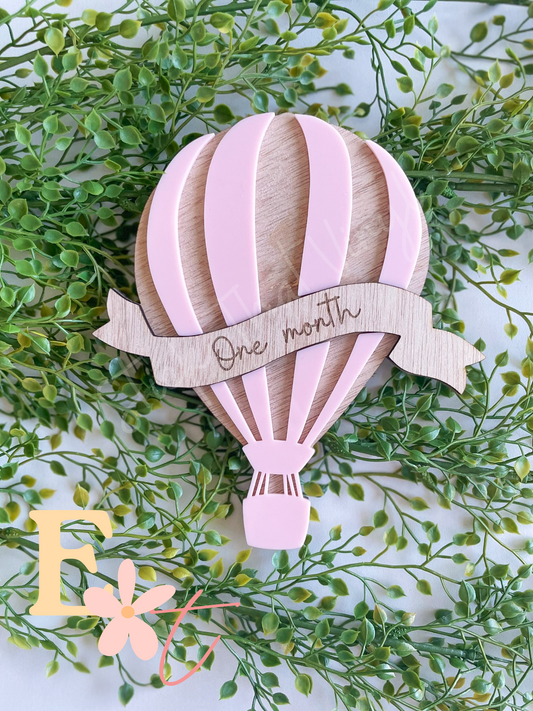 Hot Air Balloon Milestone Set